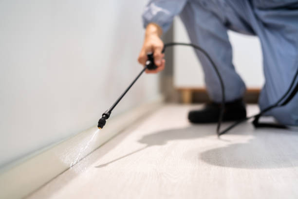 Licensed Fumigation Services service in Flanders, NY - Nex Pest Control