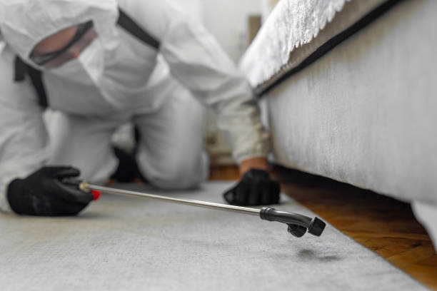 Professional Fumigation Services technician working in Flanders, NY