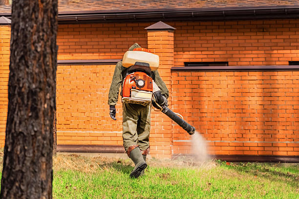 Top rated local Fumigation Services specialists in Flanders, NY